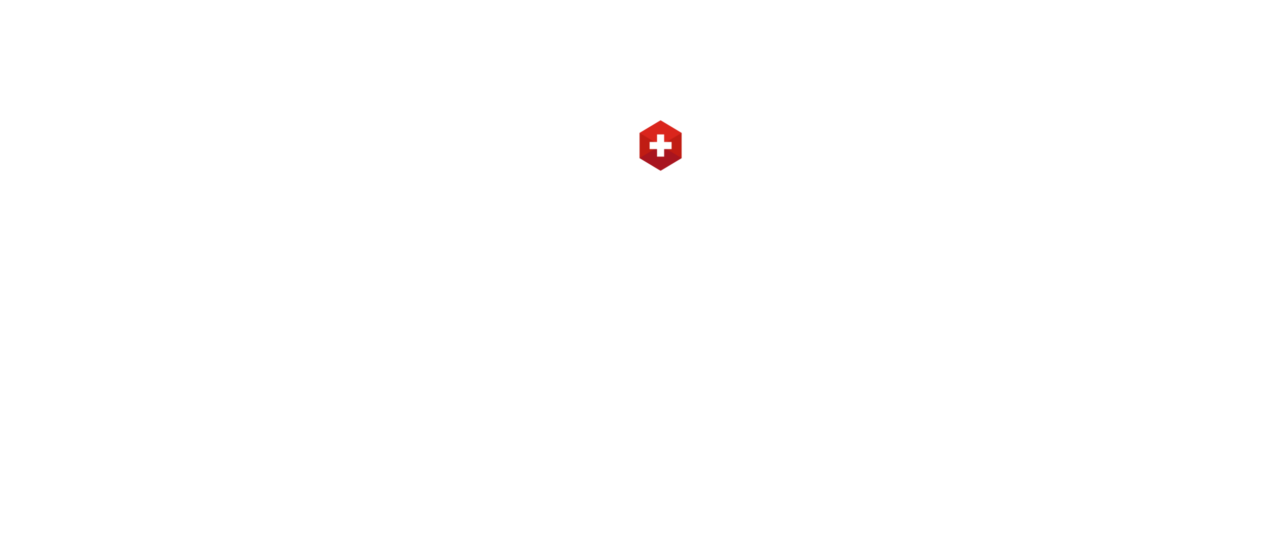 Swiss Expert